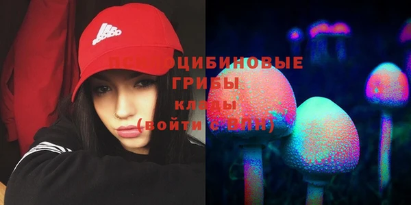 Альфа ПВП Арсеньев