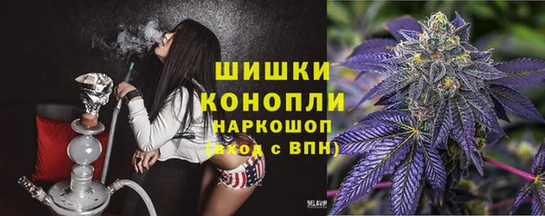 спиды Рославль