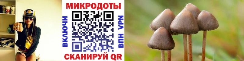 Псилоцибиновые грибы мицелий  Долгопрудный 