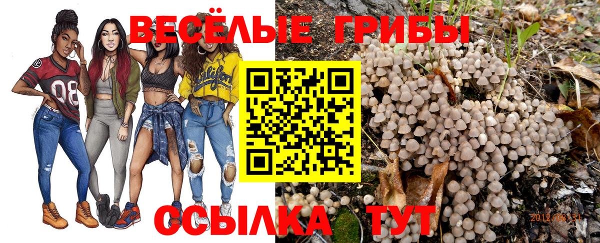 Псилоцибиновые грибы MAGIC MUSHROOMS  Галлюциногенные грибы Psilocybe  Вход с VPN  Долгопрудный 