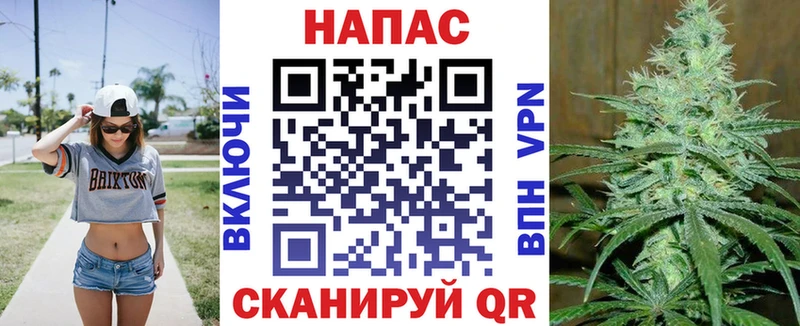 Марихуана сатива Долгопрудный